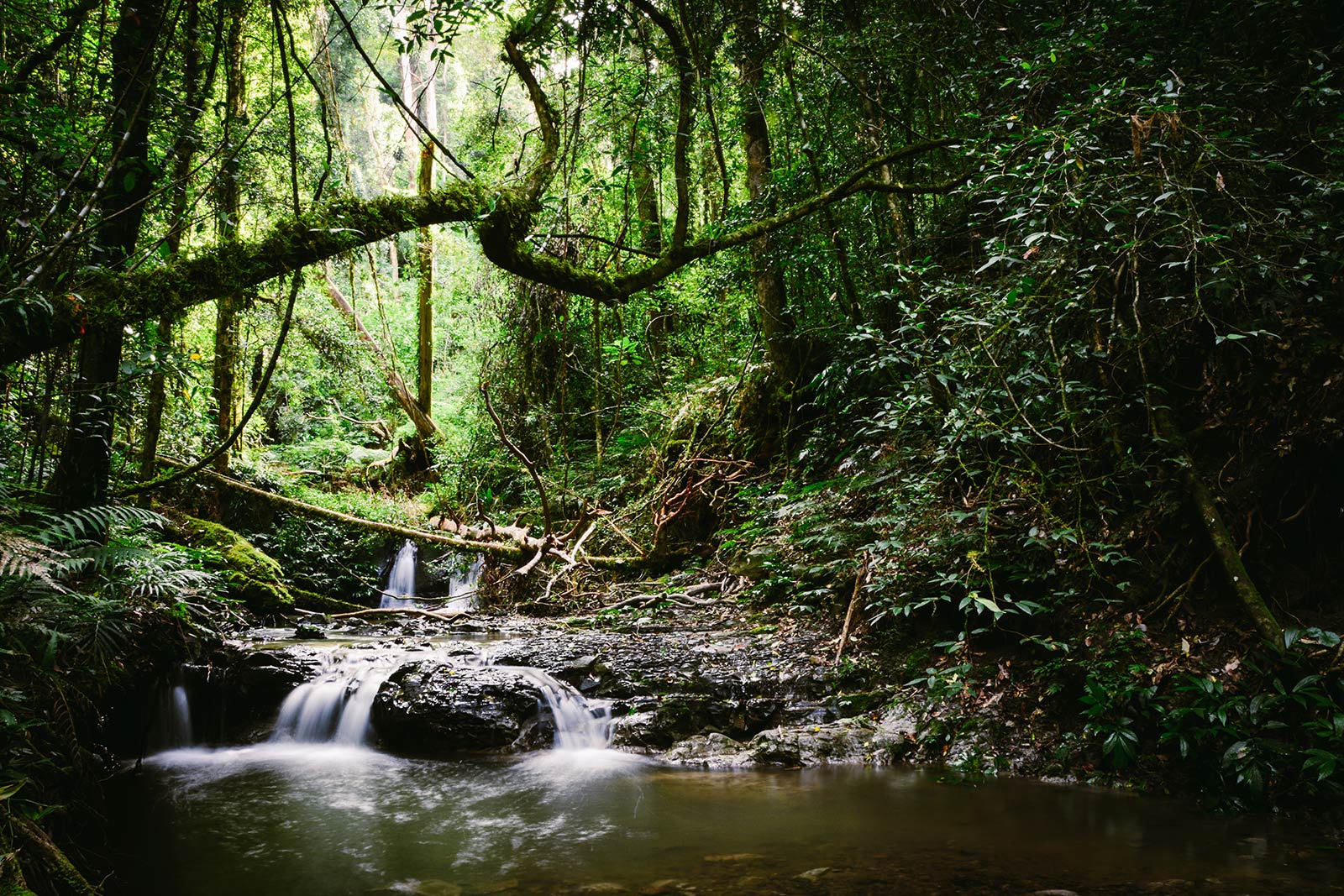 Seremban MyHometown Seremban was founded as Sungei Ujong